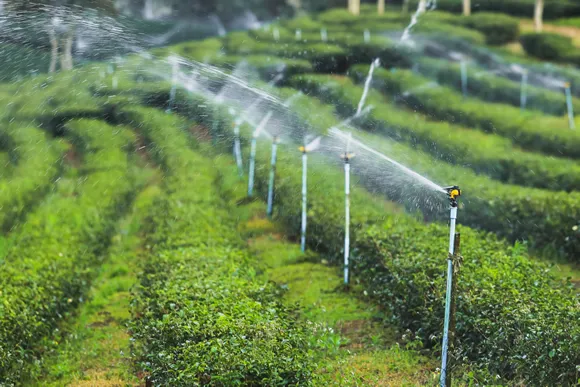 Lawn irrigation Installation