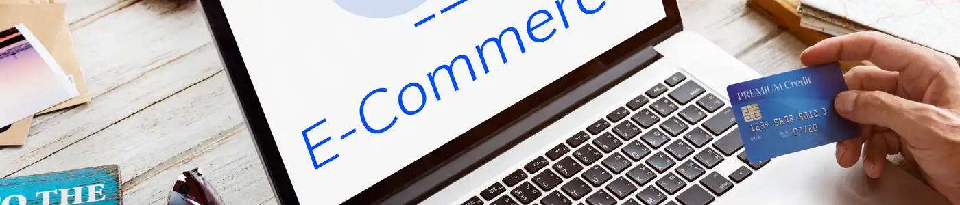 Insurance for E Commerce